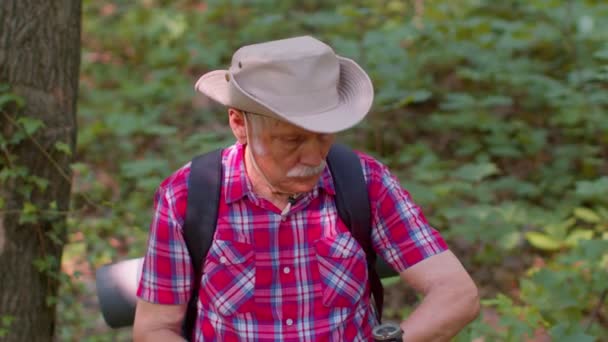 Senior oude toerist verloren en op zoek naar kompas, het onderzoeken van route tijdens het wandelen in de zomer hout — Stockvideo