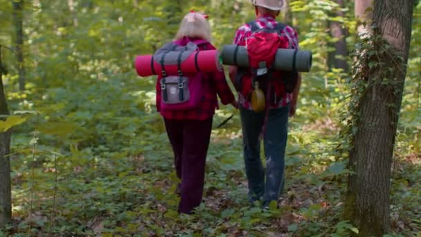 Старшая бабушка дедушка туристов, занимающихся пешим туризмом с рюкзаками в летнем лесу — стоковое видео