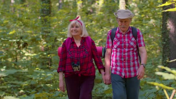 Anciano abuelo abuela turistas disfrutando de caminar, senderismo con mochilas en madera de verano — Vídeos de Stock