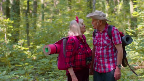 Senior gamla mormor morfar turister njuter av promenader, vandring med ryggsäckar i sommar trä — Stockvideo