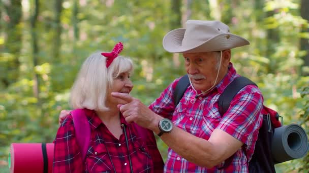 Senior gamla mormor morfar turister njuter av promenader, vandring med ryggsäckar i sommar trä — Stockvideo