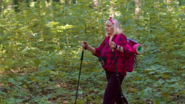 年长的旅游祖母用滑雪远足杆训练北欧人走路，在树林中远足 — 图库视频影像