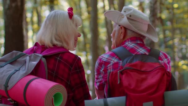 Großmutter Großvater Senior Touristen Wanderer sitzen auf Baum und umarmen, küssen im Sommer Holz — Stockvideo