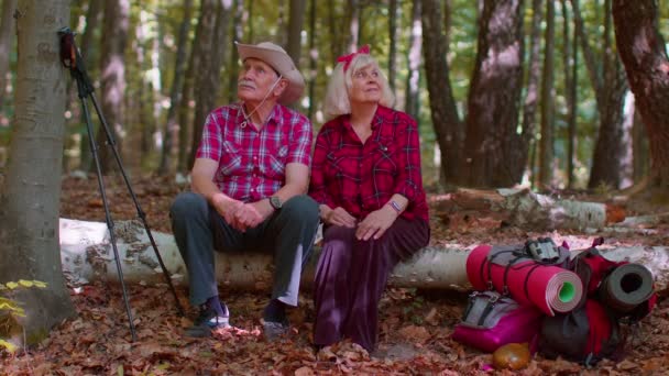 Grand-mère grand-père touristes seniors randonneurs assis sur l'arbre et câlins, embrasser dans la forêt d'été — Video