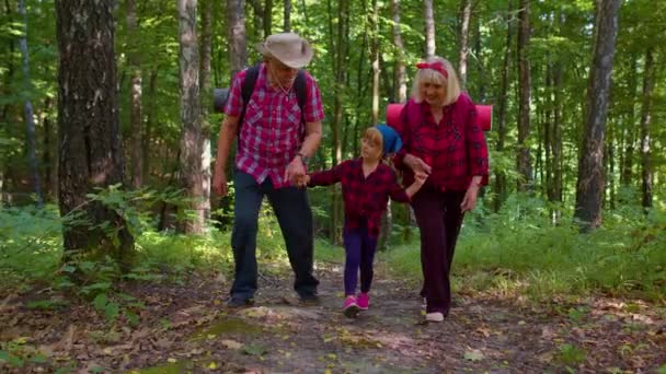 Ενεργός ανώτερος παππούς γιαγιά τουρίστες περπάτημα πεζοπορία με την εγγονή στο ξύλο του καλοκαιριού — Αρχείο Βίντεο