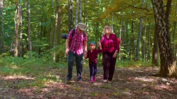 Mayores turistas abuela, abuelo, nieta niño hablando, caminando con mochilas en madera — Vídeo de stock