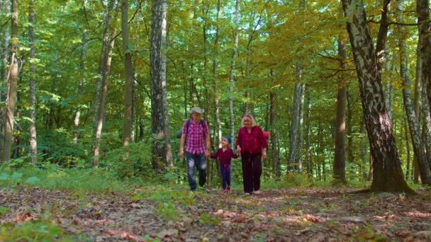 Abuela mayor activa abuelo turistas caminando senderismo con nieta en madera de verano — Vídeo de stock