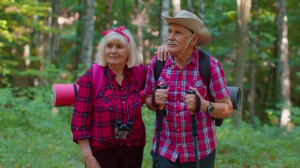 Anciano abuelo abuela turistas disfrutando de caminar, senderismo con mochilas en madera de verano — Vídeos de Stock