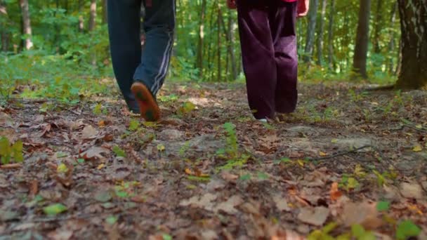 Ancianos abuelita abuelo turistas dedicadas a caminar senderismo con mochilas en madera de verano — Vídeos de Stock