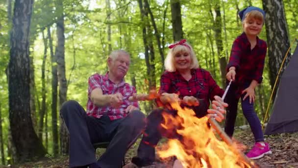 Szczęśliwy starszy mężczyzna kobieta z wnuk mówić gotowanie kiełbasy nad ognisko w wieczorne drewno — Wideo stockowe