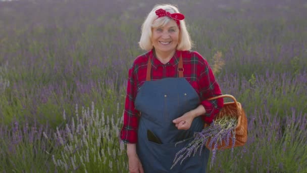 Mulher sênior avó agricultor crescente jardinagem lavanda planta no jardim de ervas, acenando mãos Olá — Vídeo de Stock