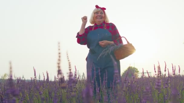 Starsza rolnik babcia w polu uprawy lawendy, świętowanie sukcesu, zwycięski gest — Wideo stockowe