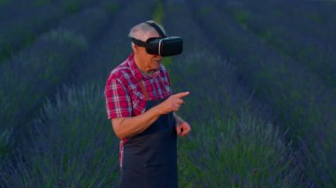Sanal gerçeklik kaskı takmış yaşlı büyük baba çiftçi yönetim için lavanta çiçekleri tarlasında