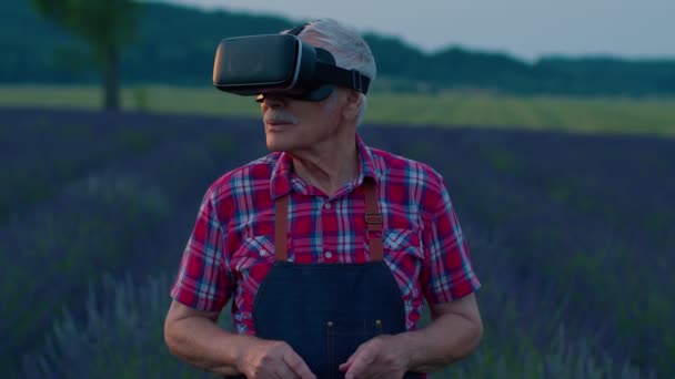 Avô moderno progressivo homem agricultor em flores de lavanda de campo usa tecnologia de realidade virtual — Vídeo de Stock