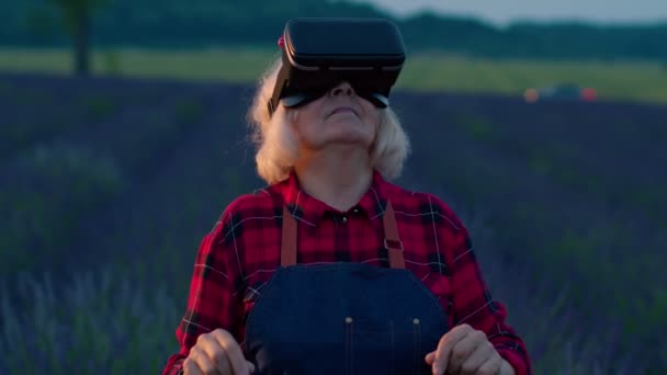 Abuela mayor agricultor en casco de realidad virtual la gestión de la calidad en el campo de las flores de lavanda — Vídeo de stock