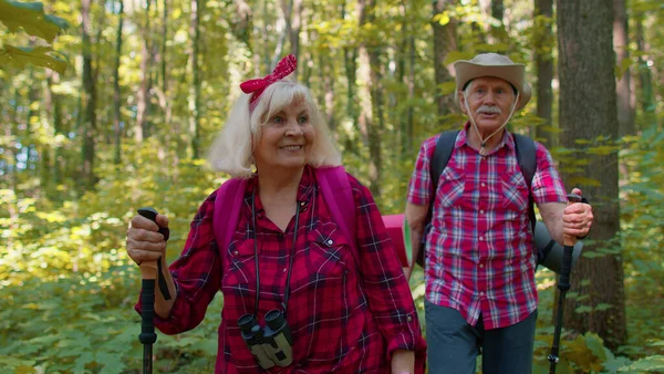 Senior grandparents couple having conversation, training Nordic walking with trekking poles in wood