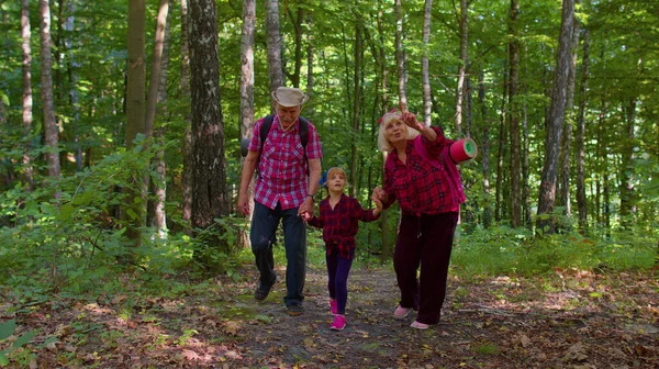 Abuela mayor activa abuelo turistas caminando senderismo con nieta en madera de verano —  Fotos de Stock
