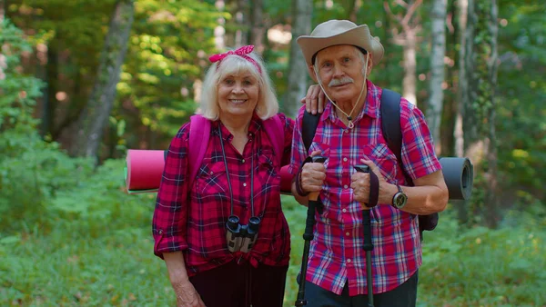 Anciano abuelo abuela turistas disfrutando de caminar, senderismo con mochilas en madera de verano — Foto de Stock