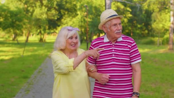 Senior snygga pensionärer par mormor morfar promenader, njuter av tid tillsammans i parken — Stockvideo