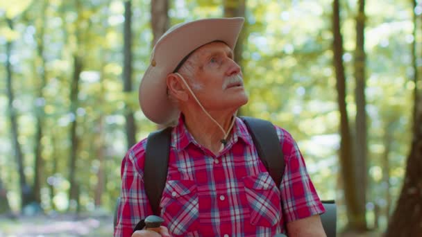 Senior oude Kaukasische toerist wandelaar grootvader opleiding Nordic walking met wandelstokken in het bos — Stockvideo