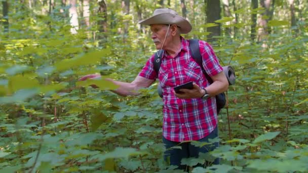 積極的な高齢者の祖父の冒険家彼女のデジタルタブレットで森の木、植物を探索 — ストック動画