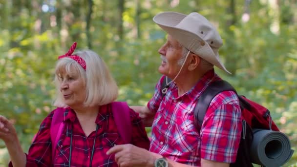 Anciano abuelo abuela turistas disfrutando de caminar, senderismo con mochilas en madera de verano — Vídeos de Stock