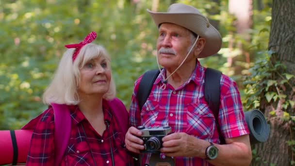 Velho avô turistas sênior andando com mochilas tirando fotos com câmera em madeira — Vídeo de Stock