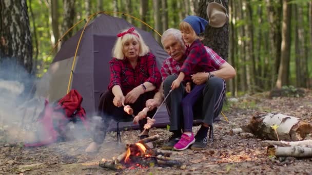 Feliz hombre mayor mujer con nieto hablando de cocinar salchichas sobre fogata en madera de la noche — Vídeos de Stock