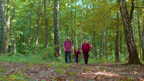 Oudere toeristen grootmoeder, grootvader, kleindochter kind praten, wandelen met rugzakken in hout — Stockvideo