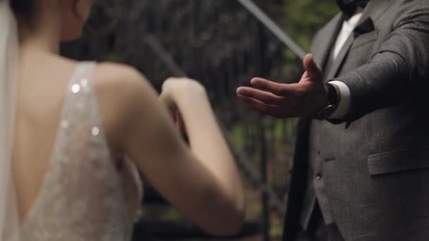 Les jeunes mariés. Les mains du marié avec la mariée se touchent. Couple de mariage dans le parc. Famille heureuse — Video