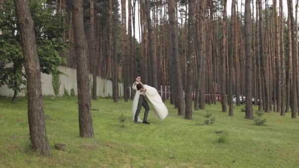 Прекрасні молодята кавказька наречена танцює в парку, робить поцілунок, сім'я подружньої пари — стокове відео