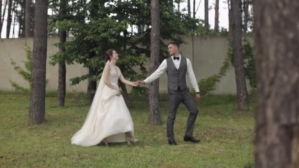 Precioso recién casados novio novia caucásica caminando en el parque, de la mano, la familia de la pareja de boda — Vídeo de stock