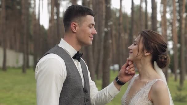 Jeunes mariés, marié caucasien avec mariée marchant, embrassant, câlins dans le parc, couple de mariage — Video