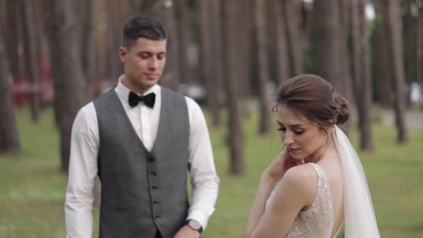 Jeunes mariés, marié caucasien avec mariée marchant, embrassant, câlins dans le parc, couple de mariage — Video
