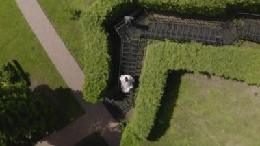 Yeni evliler, gelinle beyaz damat parkta merdivenlerde kalın, düğün çifti, aşık erkek ve kadın