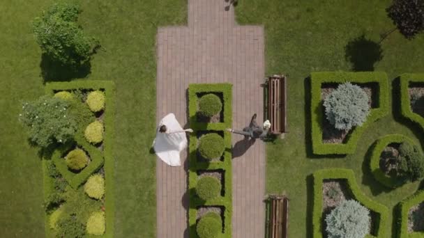 Прекрасні молодята кавказька наречена ходить в парку, тримаючись за руки, сім'я подружньої пари — стокове відео
