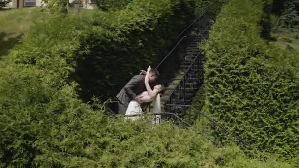 Молодожены, кавказский жених с невестой остаются на лестнице в парке, супружеская пара, мужчина и женщина влюблены — стоковое видео