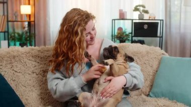 Genç, mutlu, beyaz saçlı kadın yumuşak köpek fırçasıyla pug 'u tımar ediyor, nazikçe kürke dokunuyor. Evcil hayvan memnuniyetle tepki verir, gözleri yarı kapalı, rahatlık ve keyifli bir rahatlık gösterir.