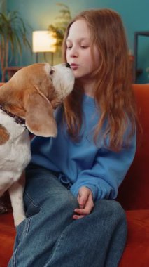 Gülümseyen genç kız çocuğu kanepede oturan sevimli av köpeğini kucaklıyor. Mutlu genç bayan hayvan sever hafta sonu evde evcil köpekle vakit geçirip, oturma odasında sarılıyor..