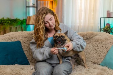 Genç Kafkasyalı kızıl saçlı kadın pug dog pençelerini kanepede nazikçe sarar, özen ve ilgi gösterir. Evcil hayvan hareketsiz kalır, güven, empati ve duygusal sıcaklıkla dolu sakin bir iyileşme anına izin verir..