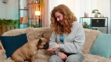 Pug dog sabırla evde kanepede bekliyor, geniş gözlerle bakıyor ve tedavi ve yemek için umut dolu komik bir yüz. Evcil hayvan, ev sahibiyle geçirdiği esprili anlarda etkileyici bir kişilik ve anlamlı bir ruh hali sergiliyor..