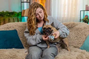 Genç Kafkasyalı kızıl saçlı kadın pug dog pençelerini kanepede nazikçe sarar, özen ve ilgi gösterir. Evcil hayvan hareketsiz kalır, güven, empati ve duygusal sıcaklıkla dolu sakin bir iyileşme anına izin verir..