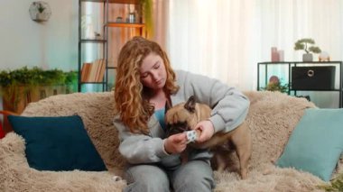 Genç Kafkasyalı kızıl saçlı kadın pug dog pençelerini kanepede nazikçe sarar, özen ve ilgi gösterir. Evcil hayvan hareketsiz kalır, güven, empati ve duygusal sıcaklıkla dolu sakin bir iyileşme anına izin verir..