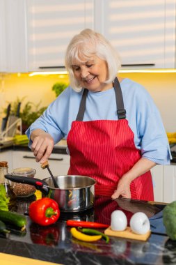 Yaşlı kadın mutfakta ev yapımı çorba pişiriyor. Çorbanın tadı sağlıklı beslenme için baharat katıyor. Yaşlı büyükanne sıcak aile yemekleri hazırlarken kepçeyle ev yemeği yapmaya odaklanır..