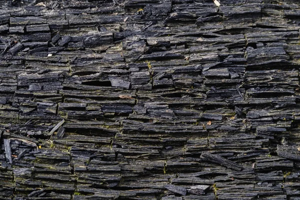 Madeira carbonizada. Textura de fundo de log carbonizado. — Fotografia de Stock