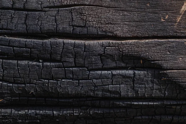 Обугленное черное дерево для фона. — стоковое фото