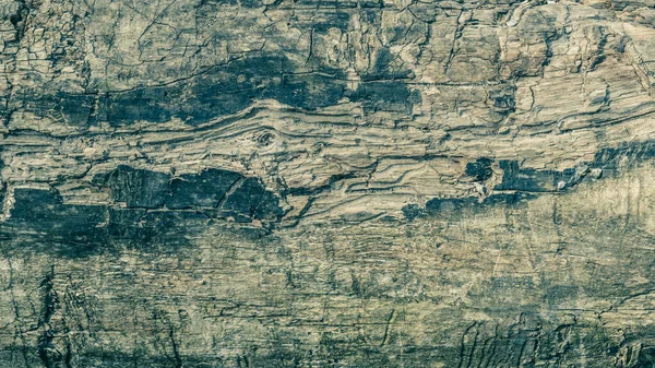 Shabby matizado textura de fundo de madeira. Close-up. — Fotografia de Stock