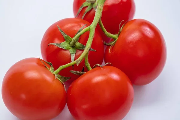Tomaten isolierte Nahrung reif rot. grün — Stockfoto