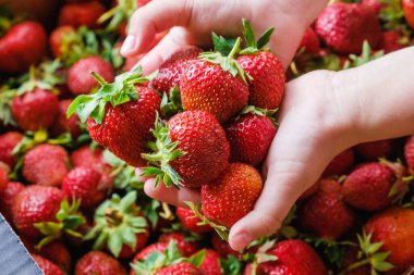 Yiyecek, yaz çileği, organik. Vitamin lezzeti