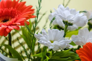 Çiçek buketi Gerbera 'yı soyutladı. Doğa çiçekleri